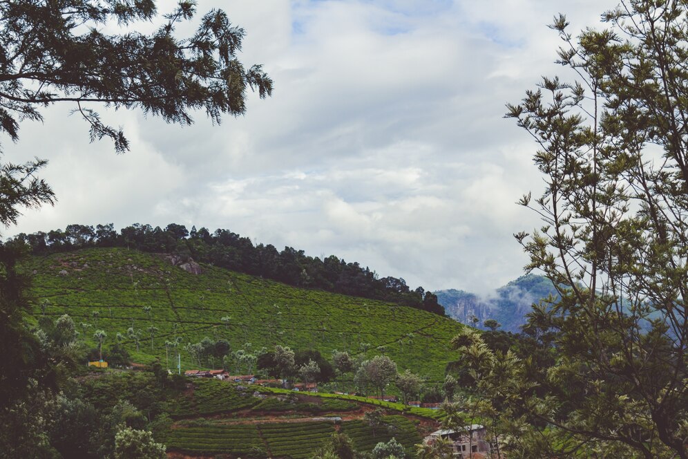 Darjeeling, West Bengal